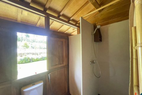 4 bedrooms Villa in Ubud, Gianyar, Bali (11038) 18