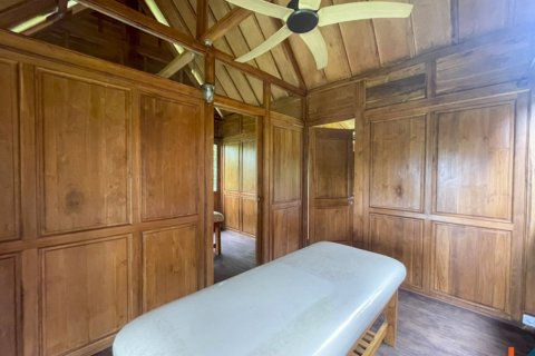 4 bedrooms Villa in Ubud, Gianyar, Bali (11038) 24