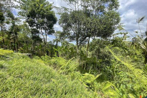 4 bedrooms Villa in Ubud, Gianyar, Bali (11038) 14