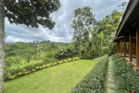 4 bedrooms Villa in Ubud, Gianyar, Bali (11038) 19