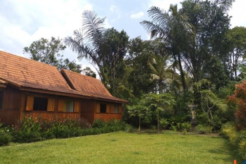 4 bedrooms Villa in Ubud, Gianyar, Bali (11038) 9