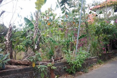 450m2 Land in Jimbaran, Badung, Bali (1058) 2