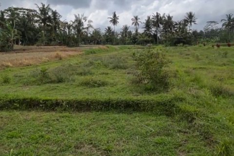 Tanah kavling di Tegallalang, Gianyar, Bali (11723)