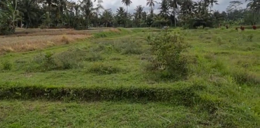 Land in Tegallalang, Gianyar, Bali (11723)