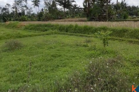 Land in Tegallalang, Gianyar, Bali (11723) 2