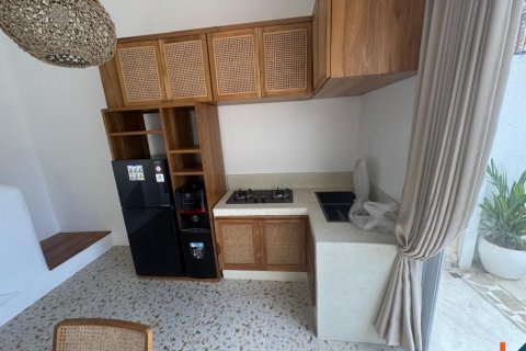 2 bedrooms Villa in Canggu, Badung, Bali (11719) 7