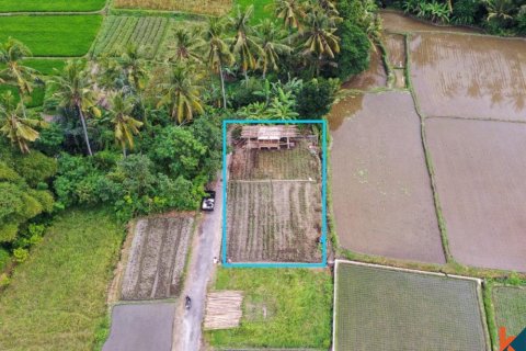 Tanah kavling di Ubud, Gianyar, Bali (11722)
