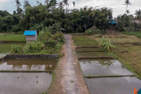 Земельный участок в Убуд, Гианьяр, Бали (11722) 4