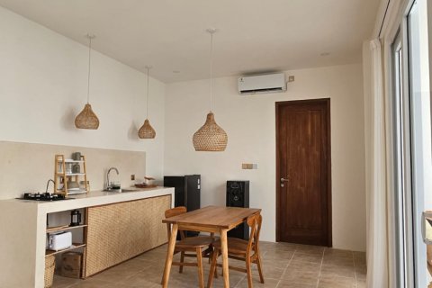 1 bedroom Villa in Badung, Bali (11724) 4