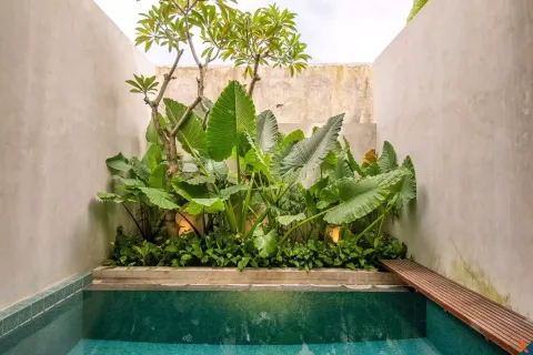 2 bedrooms Villa in Tumbak Bayuh, Mengwi, Badung, Bali (11131) 5
