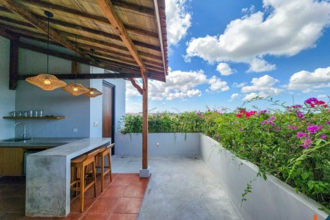 3 bedrooms Villa in Pererenan, Mengwi, Badung, Bali (11130) 5
