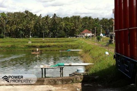 Tanah kavling 49000m2 di Negara, Jembrana, Bali (10037) 6