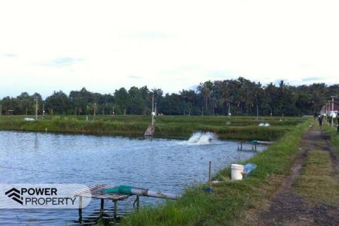 49000m2 Land in Negara, Jembrana, Bali (10037)