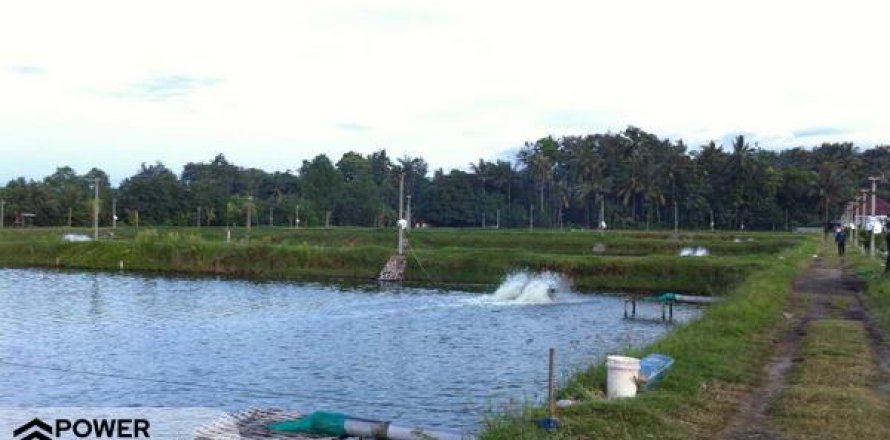 Tanah kavling 49000m2 di Negara, Jembrana, Bali (10037)