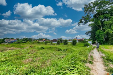 Land in Kediri, Tabanan, Bali (11272) 4