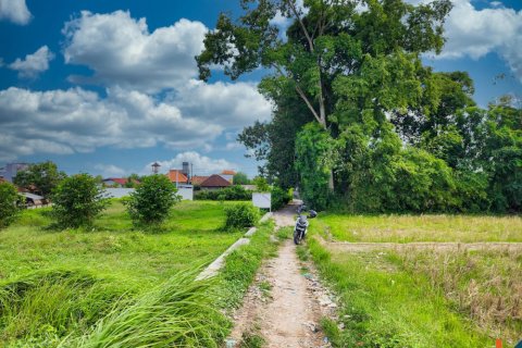 Land in Kediri, Tabanan, Bali (11272) 2
