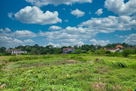 Land in Kediri, Tabanan, Bali (11272) 5