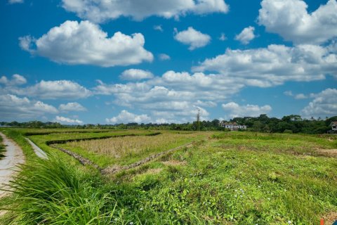 Land in Kediri, Tabanan, Bali (11272) 3