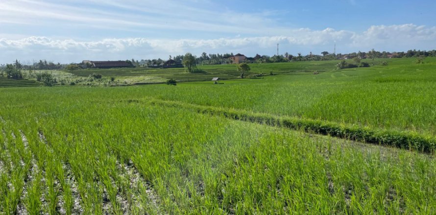 Land in Tabanan, Bali (12150)