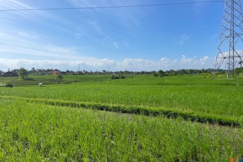 Land in Tabanan, Bali (12150) 3
