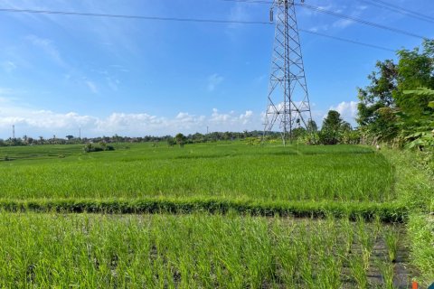 Land in Tabanan, Bali (12150) 2