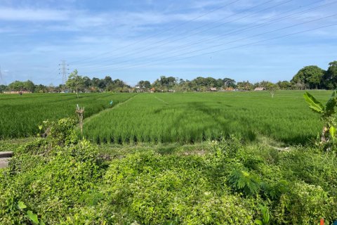 Land in Tabanan, Bali (12150) 5