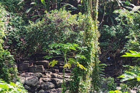 Land in Tabanan, Bali (12148) 4
