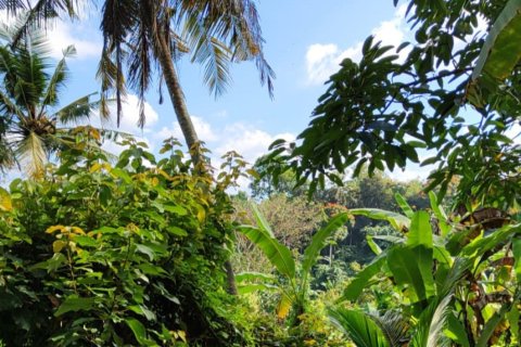 Land in Tabanan, Bali (12148) 2