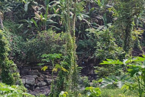 Land in Tabanan, Bali (12148) 5