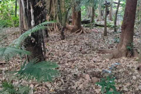 Land in Tabanan, Bali (12148) 3