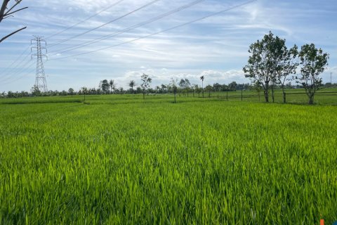 Land in Tabanan, Bali (12147) 3