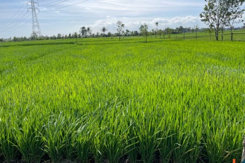 Land in Tabanan, Bali (12147) 2