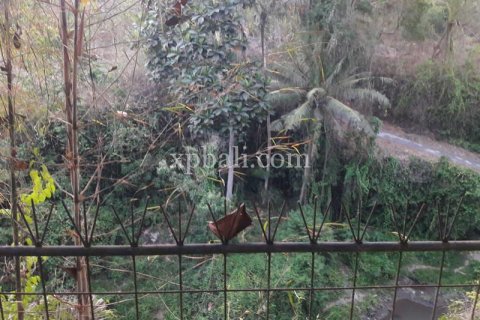 1504m2 Villa in Gianyar, Bali (832) 4