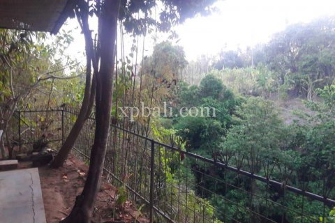1504m2 Villa in Gianyar, Bali (832) 3
