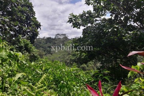 6470m2 Land in Ubud, Gianyar, Bali (833) 14