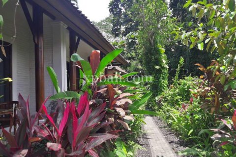 6470m2 Land in Ubud, Gianyar, Bali (833) 13