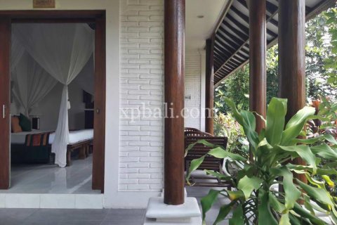 6470m2 Land in Ubud, Gianyar, Bali (833) 12