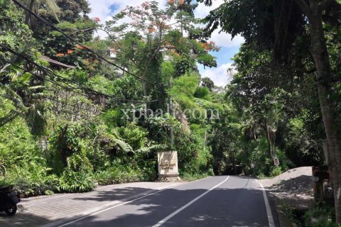 6470m2 Land in Ubud, Gianyar, Bali (833) 2