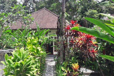 6470m2 Land in Ubud, Gianyar, Bali (833) 8