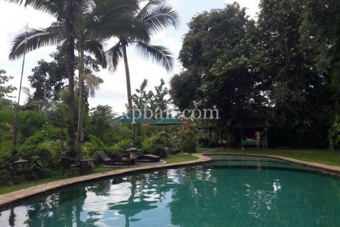 Tanah kavling 6470m2 di Ubud, Gianyar, Bali (833)