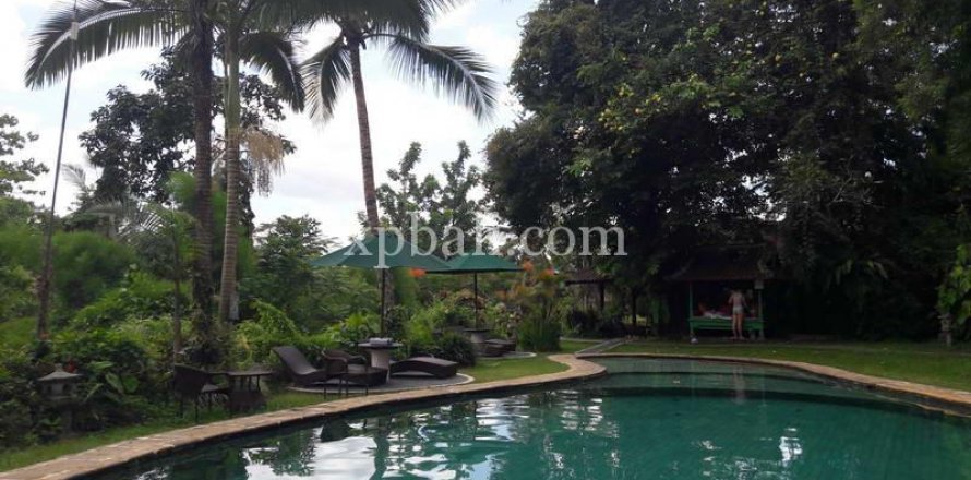 6470m2 Land in Ubud, Gianyar, Bali (833)