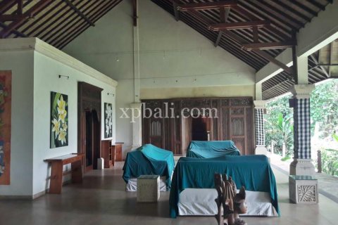 6470m2 Land in Ubud, Gianyar, Bali (833) 9