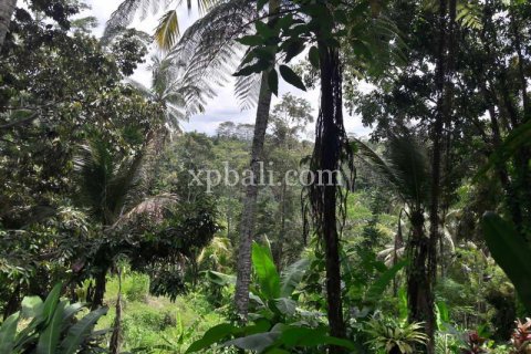 6470m2 Land in Ubud, Gianyar, Bali (833) 10