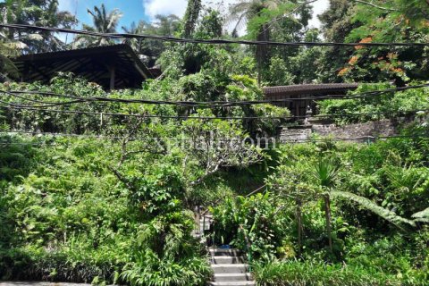 6470m2 Land in Ubud, Gianyar, Bali (833) 15