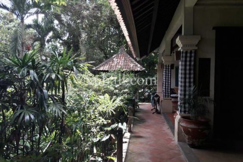 6470m2 Land in Ubud, Gianyar, Bali (833) 6