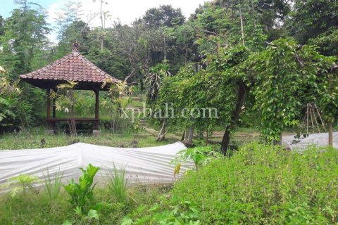 6470m2 Land in Ubud, Gianyar, Bali (833) 5