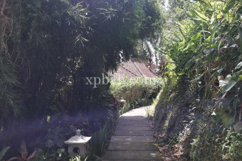6470m2 Land in Ubud, Gianyar, Bali (833) 11
