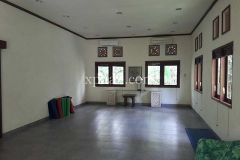 6470m2 Land in Ubud, Gianyar, Bali (833) 7