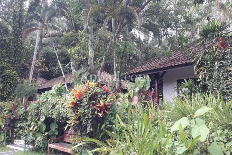 6470m2 Land in Ubud, Gianyar, Bali (833) 4