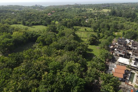 Land in Pecatu, Badung, Bali (11830) 7